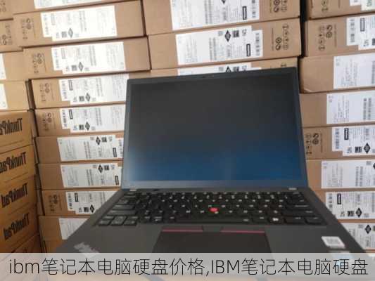 ibm笔记本电脑硬盘价格,IBM笔记本电脑硬盘