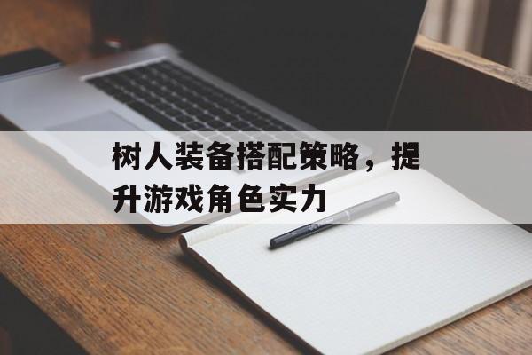 树人装备搭配策略，提升游戏角色实力