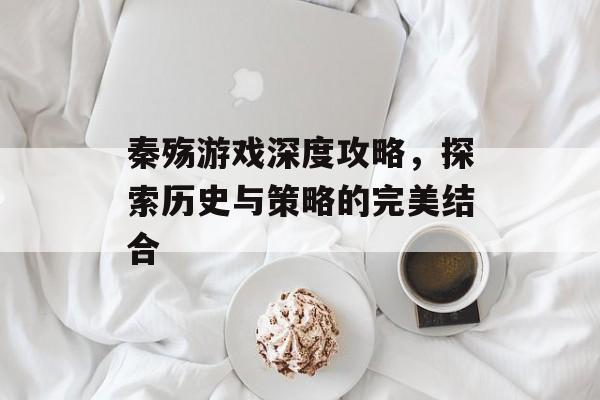 秦殇游戏深度攻略，探索历史与策略的完美结合