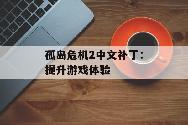 孤岛危机2中文补丁：提升游戏体验