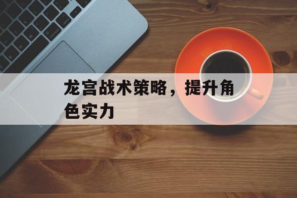 龙宫战术策略，提升角色实力