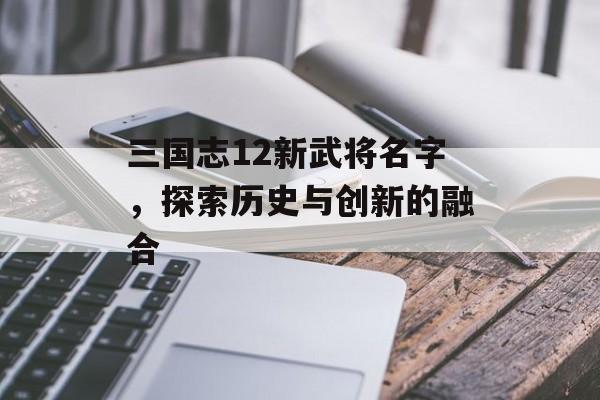 三国志12新武将名字，探索历史与创新的融合