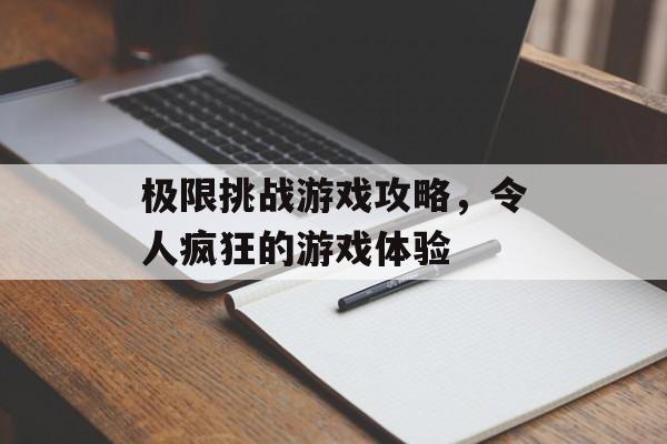 极限挑战游戏攻略，令人疯狂的游戏体验