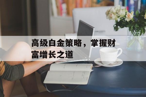 高级白金策略，掌握财富增长之道