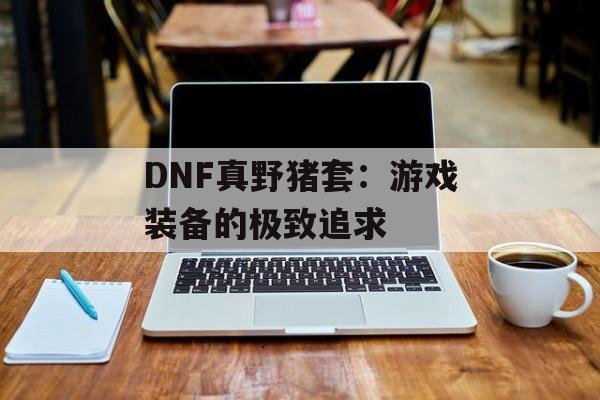 DNF真野猪套：游戏装备的极致追求