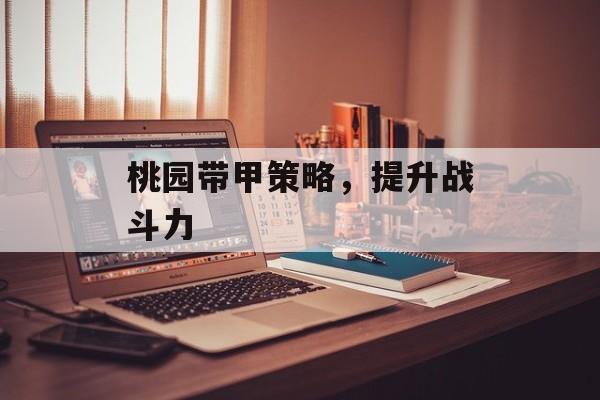 桃园带甲策略，提升战斗力