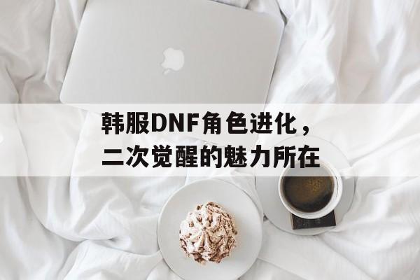 韩服DNF角色进化，二次觉醒的魅力所在