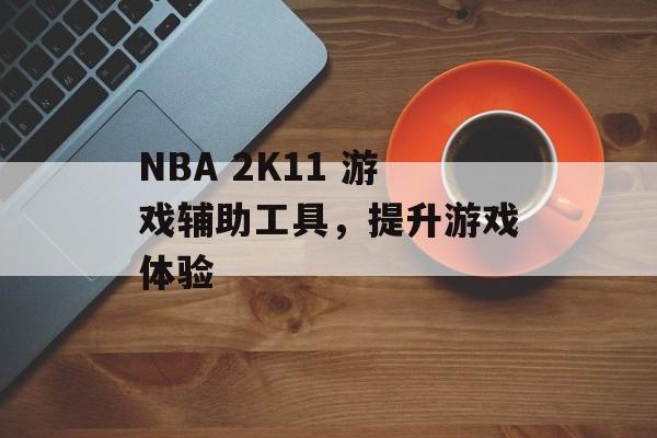 NBA 2K11 游戏辅助工具，提升游戏体验