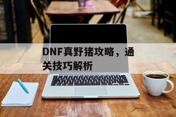 DNF真野猪攻略，通关技巧解析