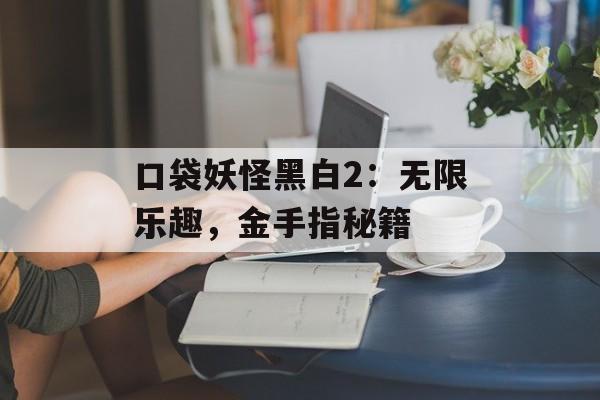 口袋妖怪黑白2：无限乐趣，金手指秘籍