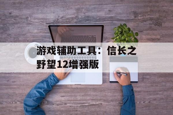 游戏辅助工具：信长之野望12增强版