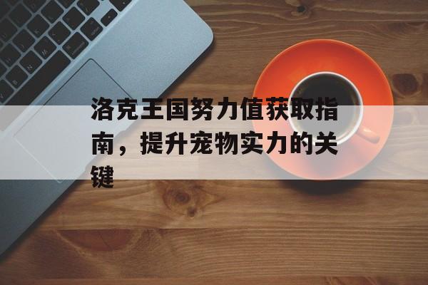 洛克王国努力值获取指南，提升宠物实力的关键