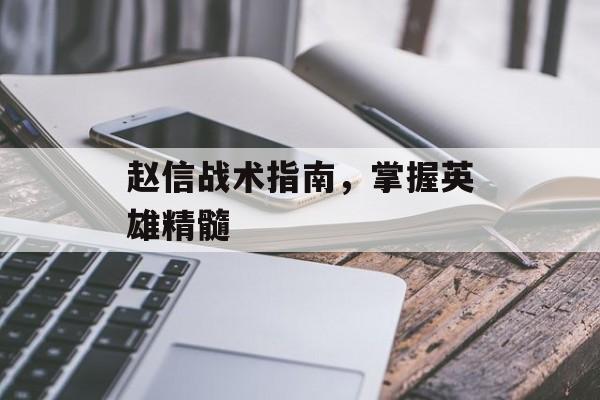 赵信战术指南，掌握英雄精髓