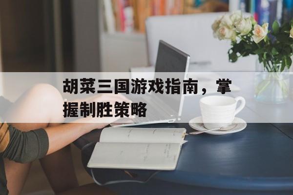 胡菜三国游戏指南，掌握制胜策略