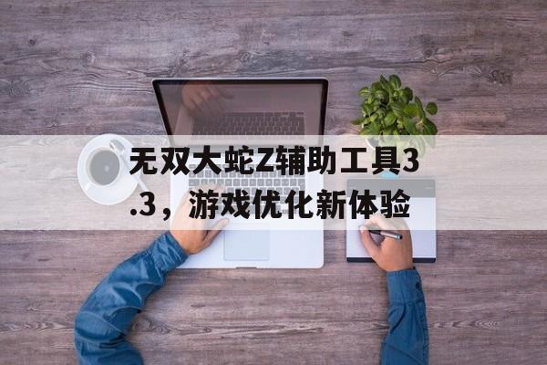 无双大蛇Z辅助工具3.3，游戏优化新体验