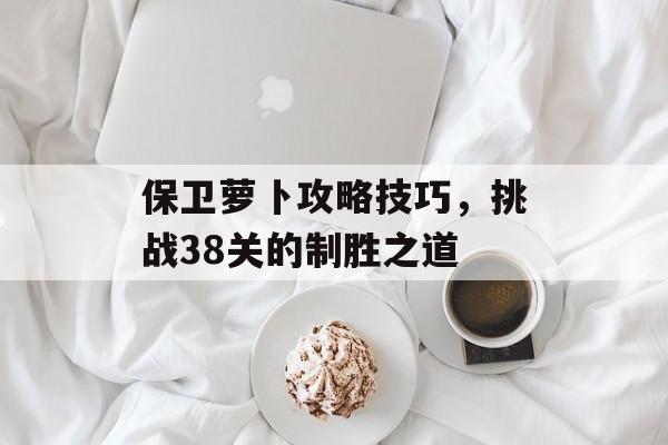 保卫萝卜攻略技巧，挑战38关的制胜之道