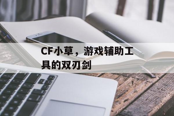 CF小草，游戏辅助工具的双刃剑